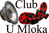 Club U Mloka