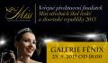 Galerie Fénix